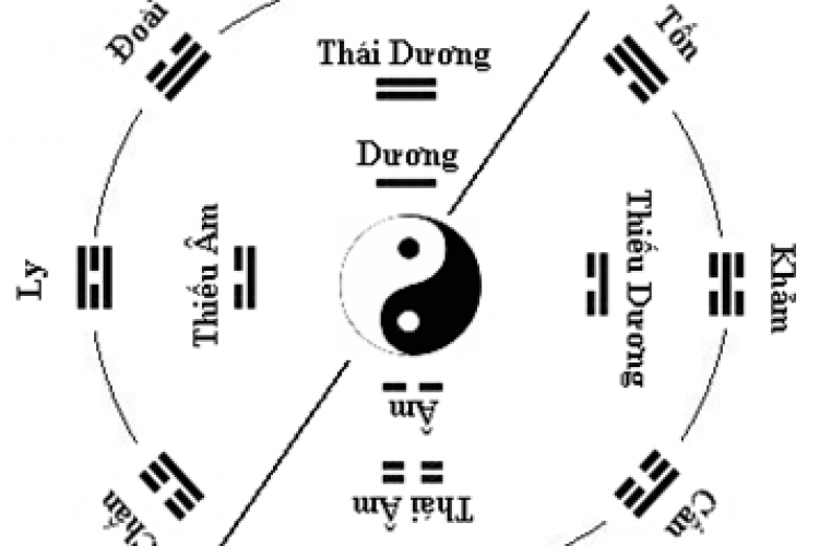 TÌM HIỂU VỀ THÁI CỰC VÀ KINH DỊCH